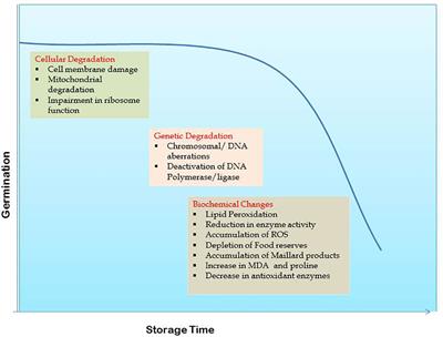 Insights into mechanisms of seed longevity in soybean: a review